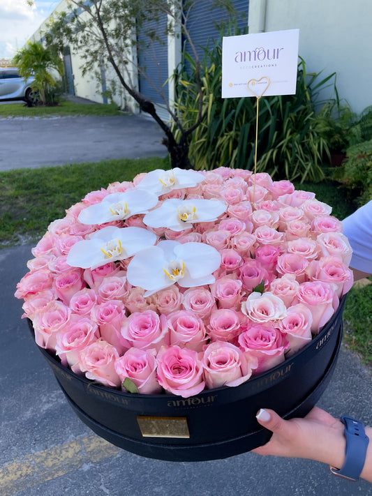 Royal box pink